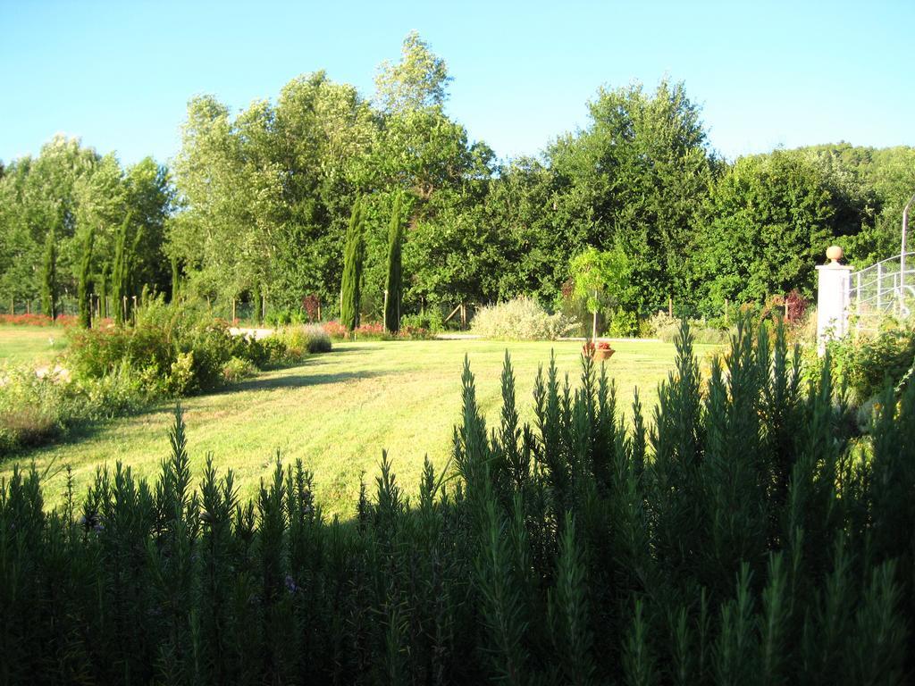 Agriturismo Il Molino Antico - 5 Girasoli Spoleto Exterior photo